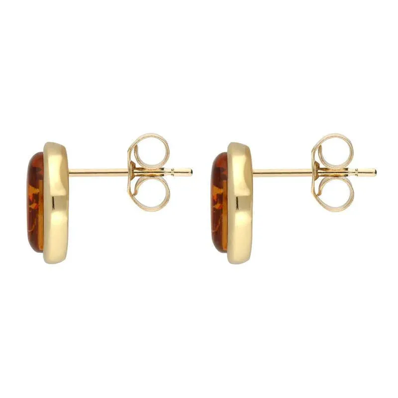 9ct Yellow Gold Amber Framed Oval Stud Earrings D
