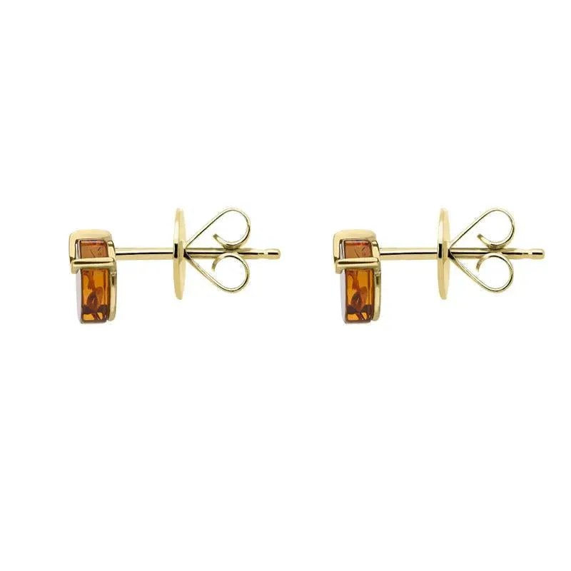 9ct Yellow Gold Amber Round Stud Earrings D