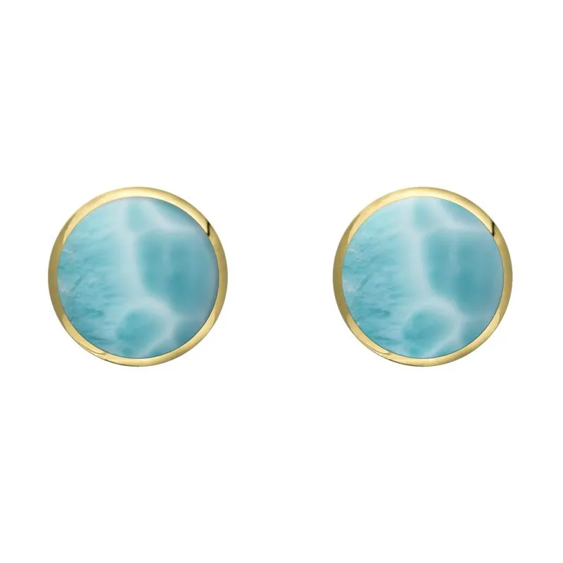9ct Yellow Gold Larimar 6mm Classic Medium Round Stud Earrings