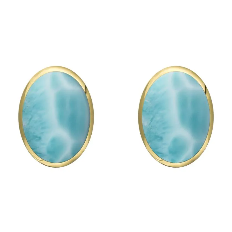 9ct Yellow Gold Larimar 8 x 10mm Classic Large Oval Stud Earrings