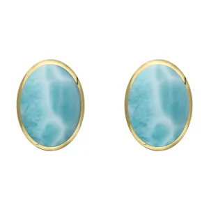 9ct Yellow Gold Larimar 8 x 10mm Classic Large Oval Stud Earrings