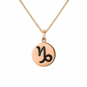 9ct Rose Gold Whitby Jet Zodiac Capricorn Round Necklace