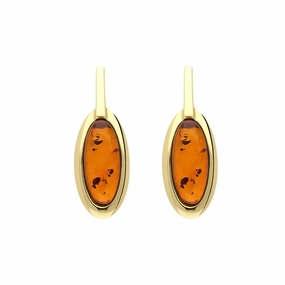 9ct Yellow Gold Amber Oval Drop Stud Earrings D