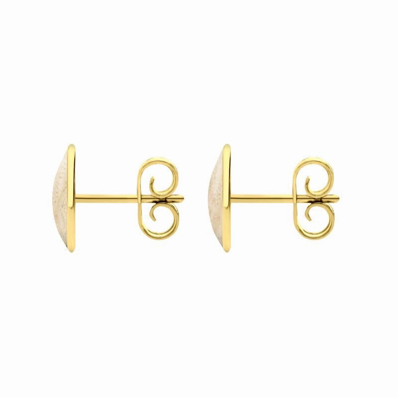 9ct Yellow Gold Coquina 8 x 10mm Classic Large Oval Stud Earrings