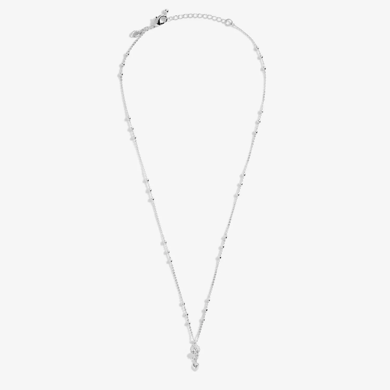 A Little Teachers Plant Seeds that Grow Forever Necklace 8688