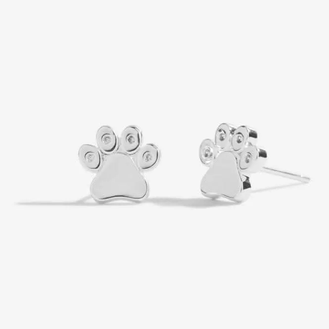 Beautifully Boxed A Little Love Has Four Paws Silver Box Earrings 5308