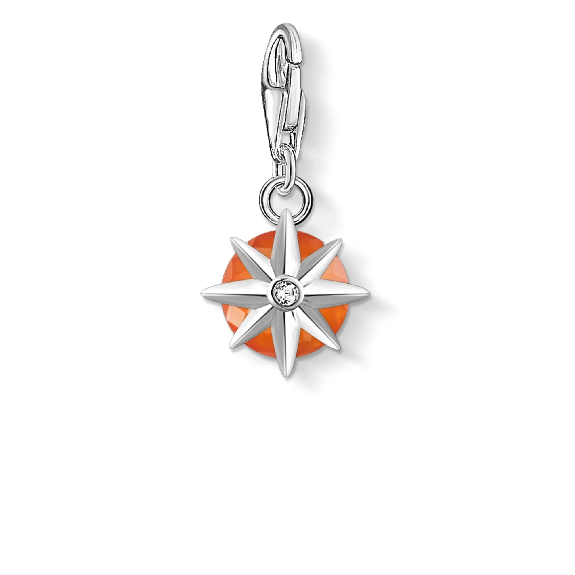 Charm Pendant Birth Stone January