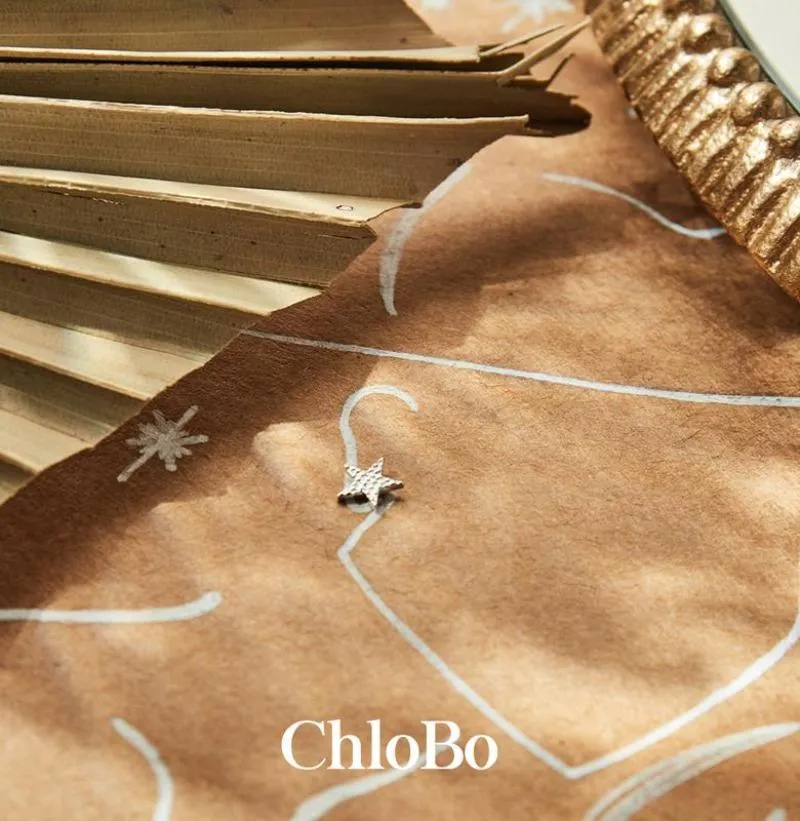 ChloBo Sterling Silver Sparkle Star Stud Earrings