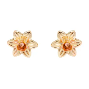 Clogau Daffodil 9ct Yellow Gold Stud Earrings