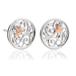 Clogau Hummingbird Sterling Silver Stud Earrings