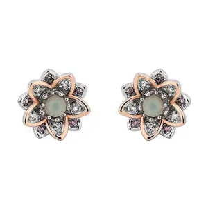 Clogau Lotus Sterling Silver Opal Stud Earrings D