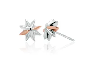 Clogau Seren Silver Stud Earrings
