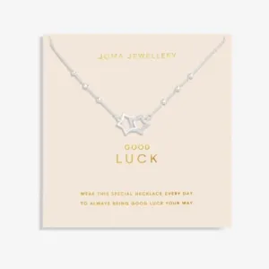 Forever Yours Good Luck Silver Plated 46cm   5cm Necklace 6717