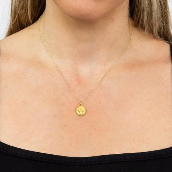 Freedom Empowerment Pendant  Zirconia  Yellow Gold Plating P5005C