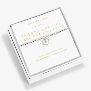 Friends Like You Are Far And Few Silver And Gold 17.5cm Bracelet 6190