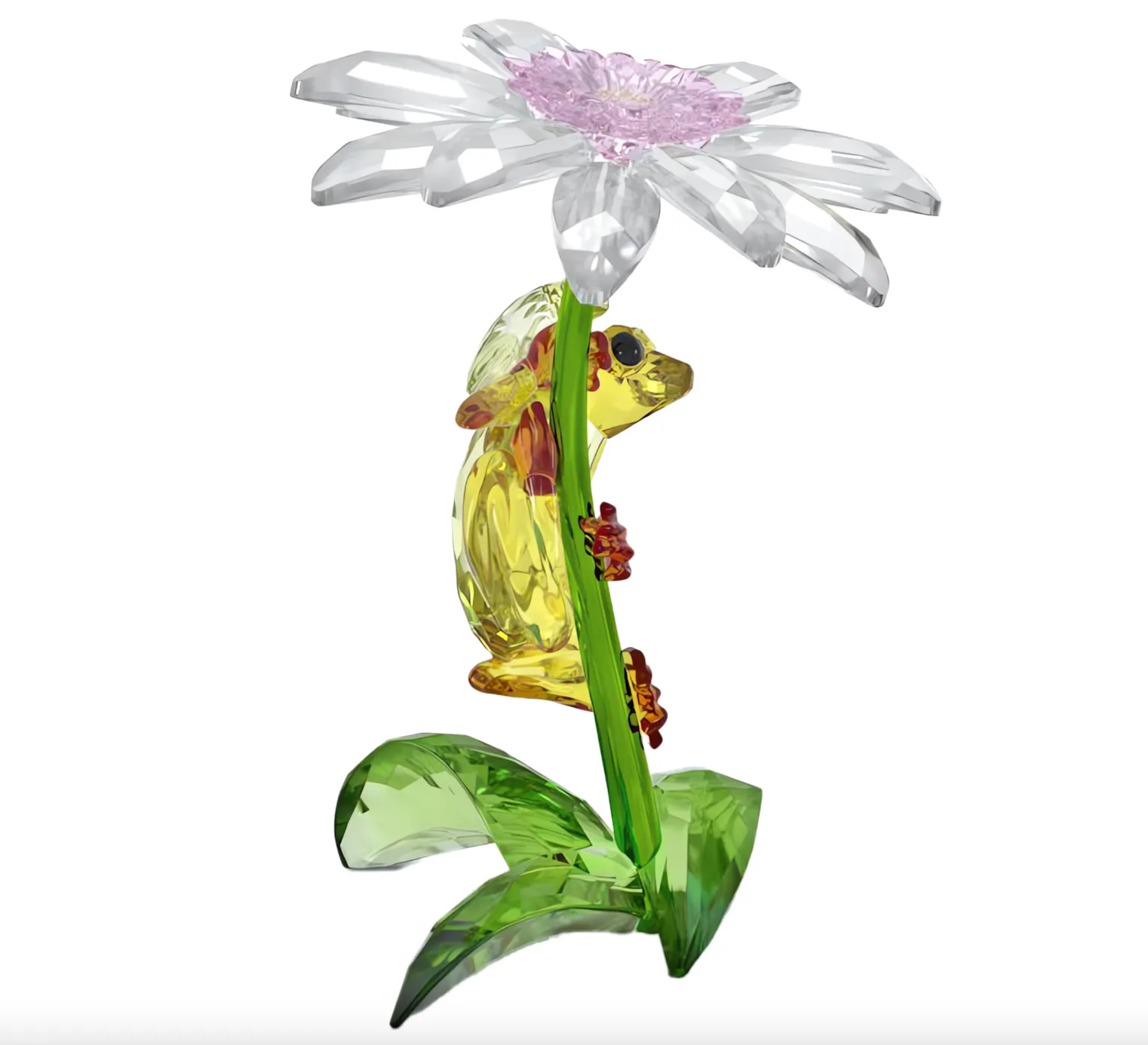 Idyllia: Frogs And Flower