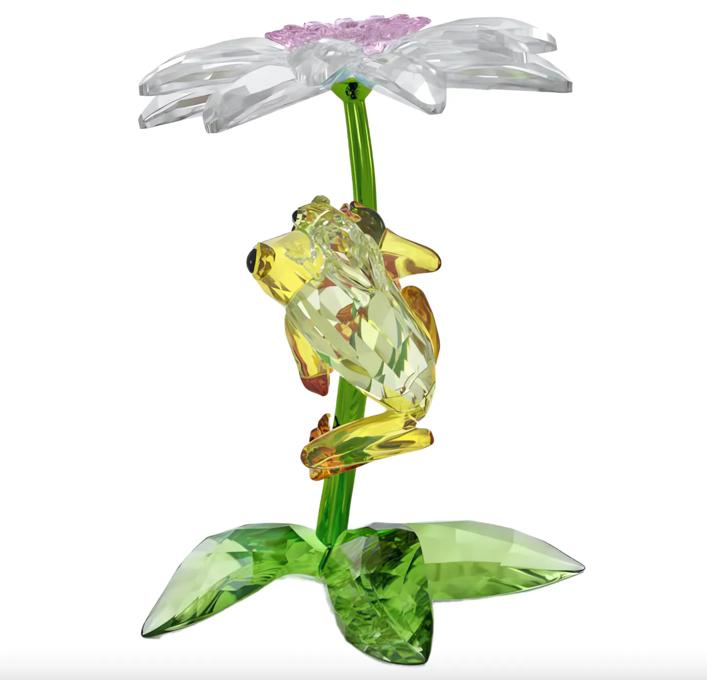 Idyllia: Frogs And Flower