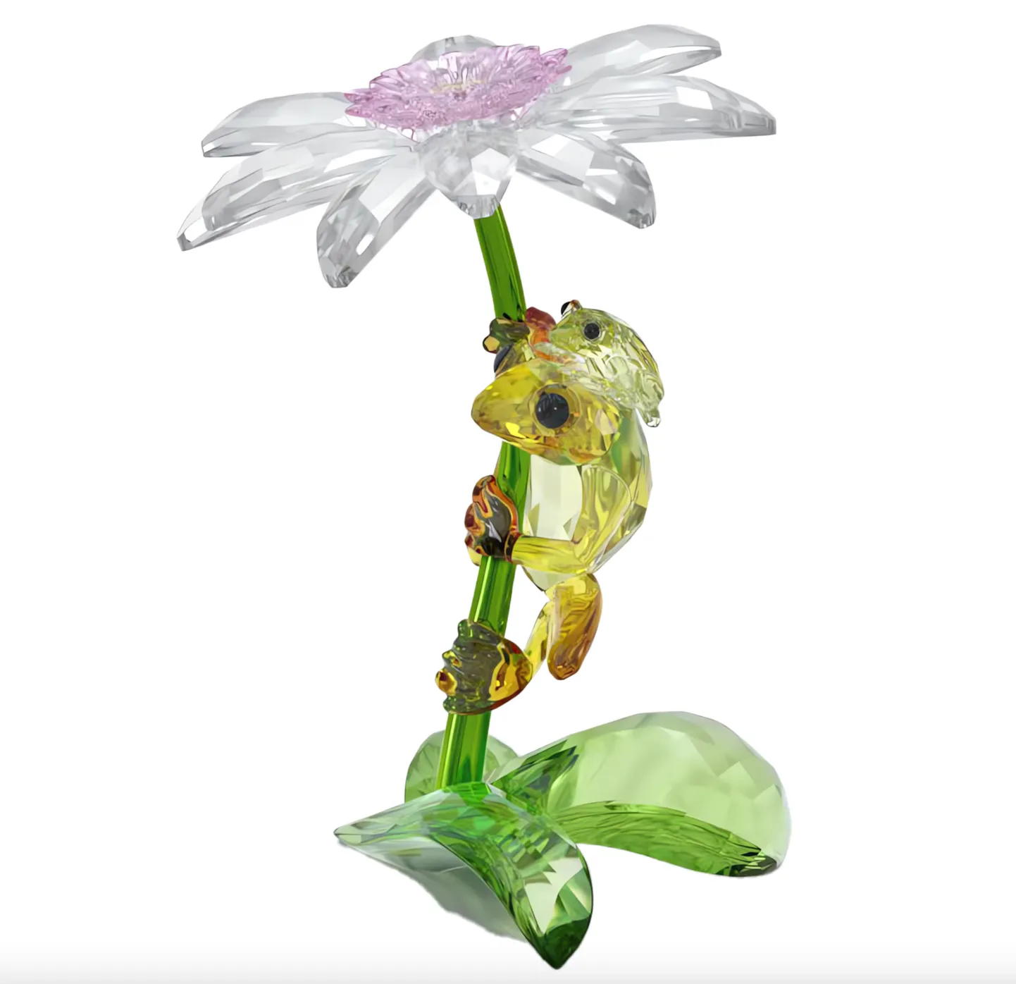 Idyllia: Frogs And Flower