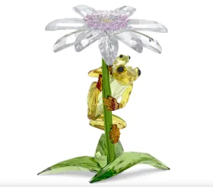Idyllia: Frogs And Flower