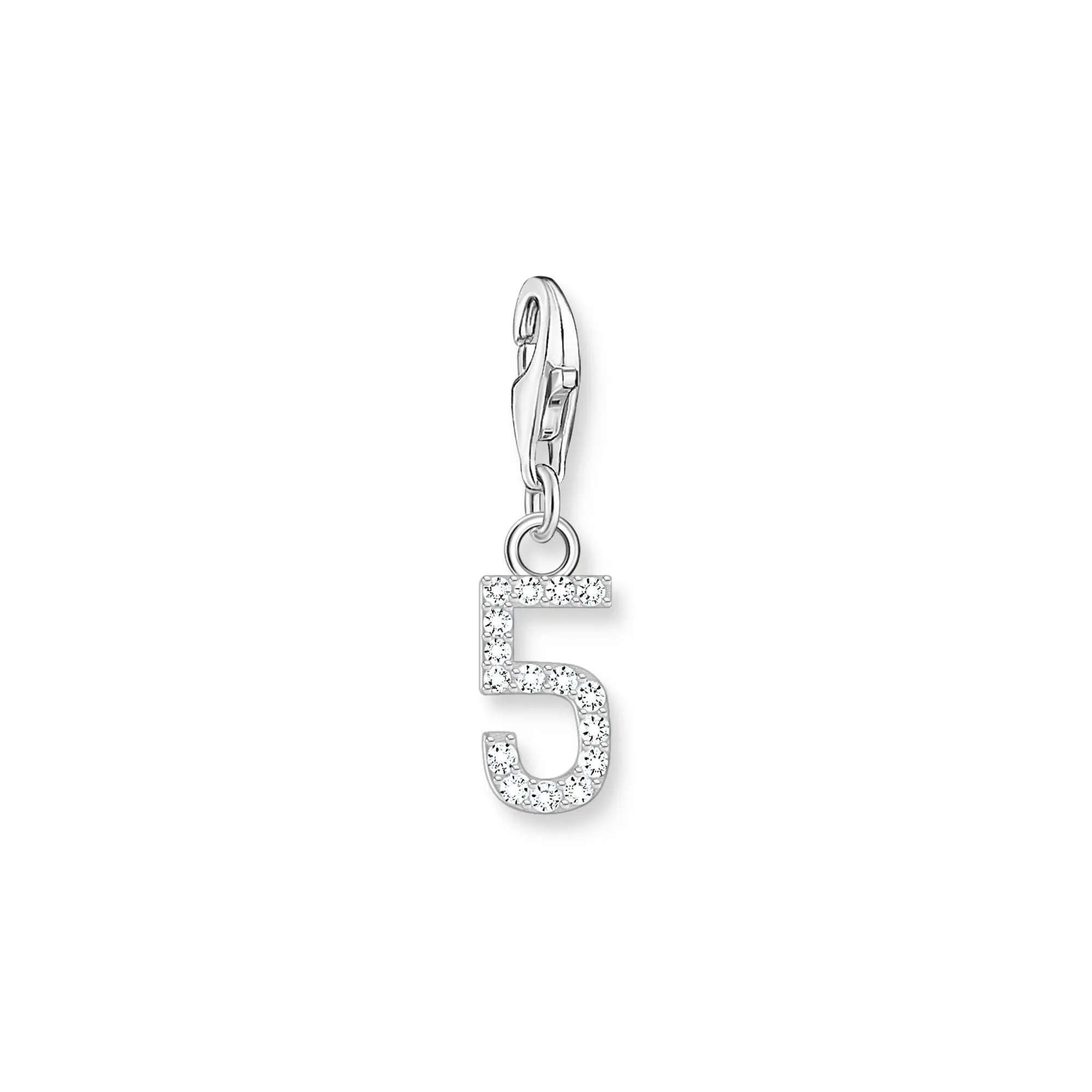 Number 5 silver charm