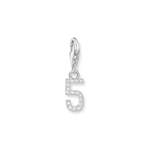 Number 5 silver charm