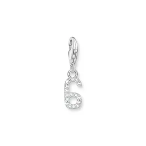 Number 6 silver charm