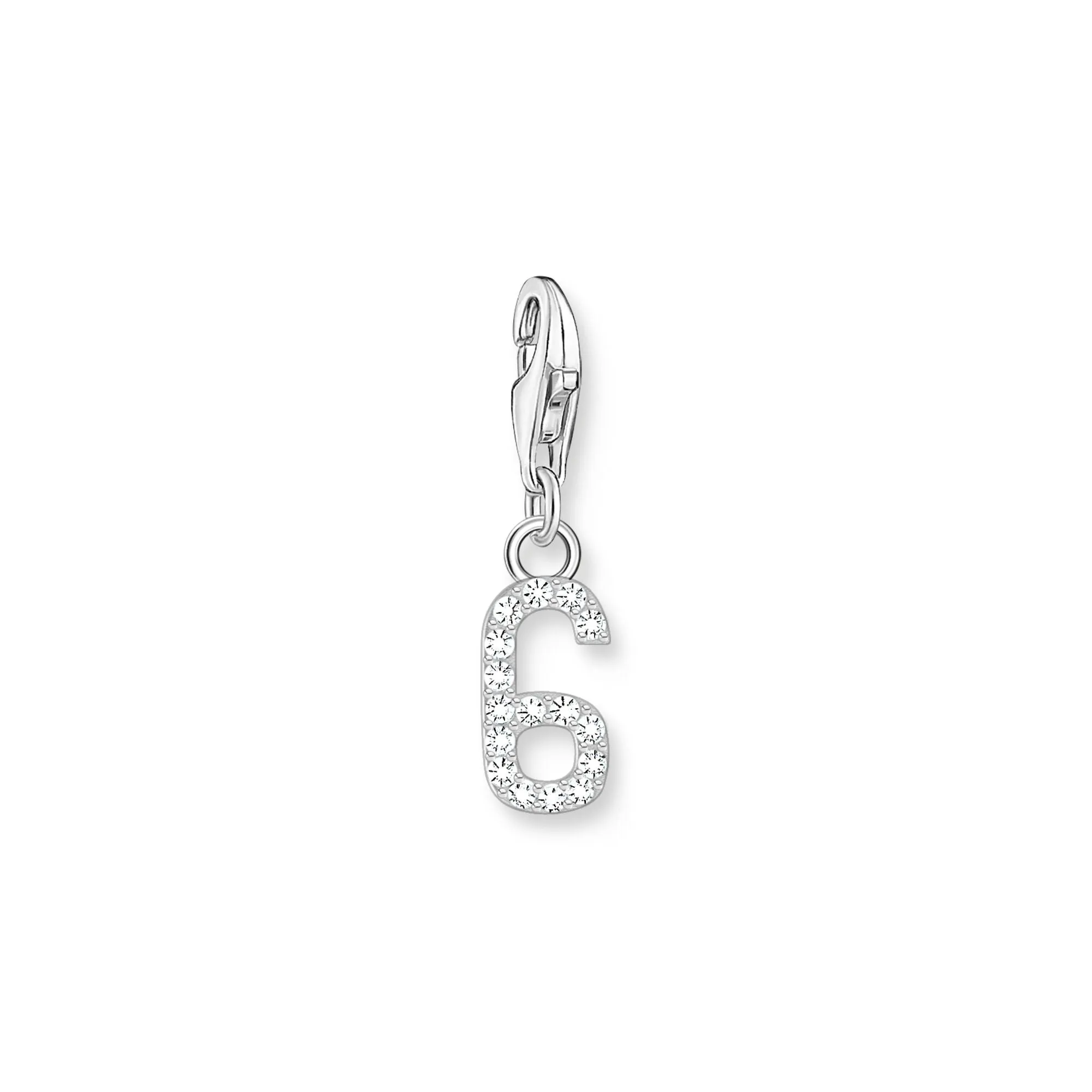 Number 6 silver charm