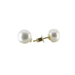 Schoeffel Yellow Gold Pearl 8-9mm Stud Earrings