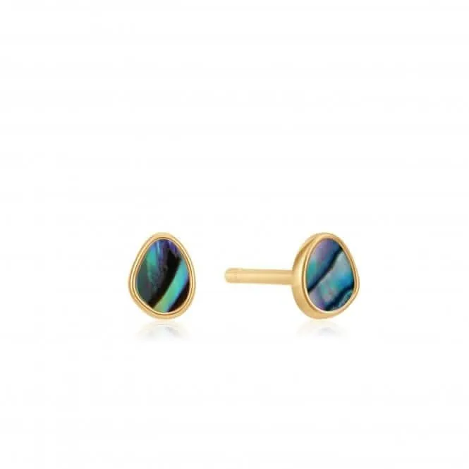 Shiny Gold Tidal Abalone Stud Earrings E027-04G