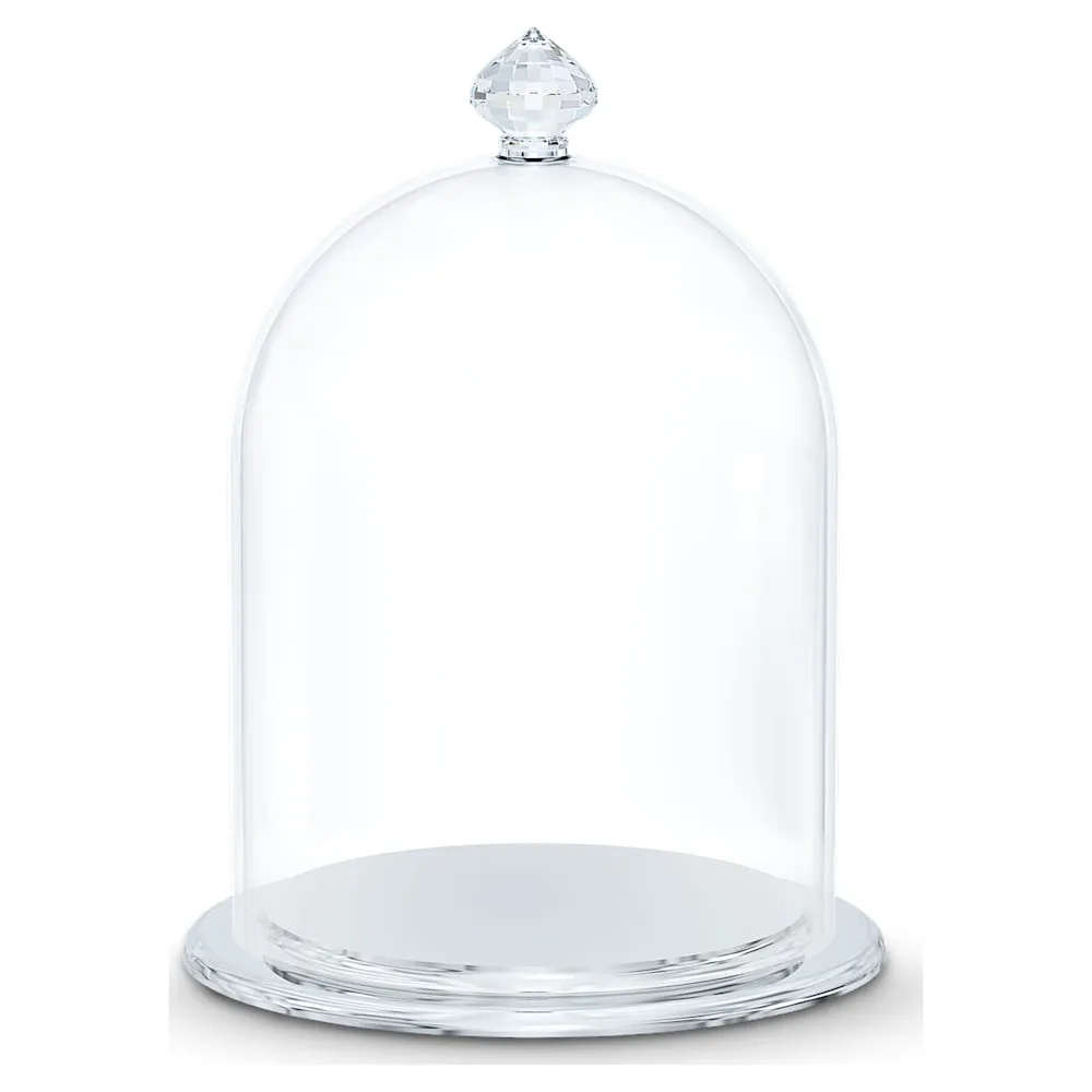 Small Bell Jar Display