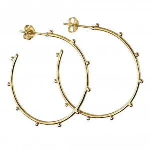 Sterling Silver Gold Plated Studded 3/4 Hoop Earrings E5859