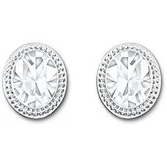 Swarvoski Earrings Arrive